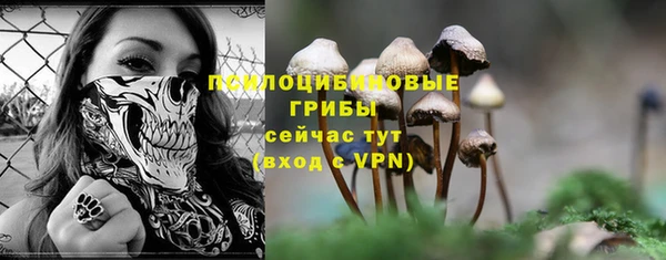 2c-b Белоозёрский