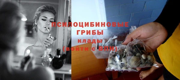 ECSTASY Белокуриха
