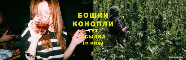 ECSTASY Белокуриха