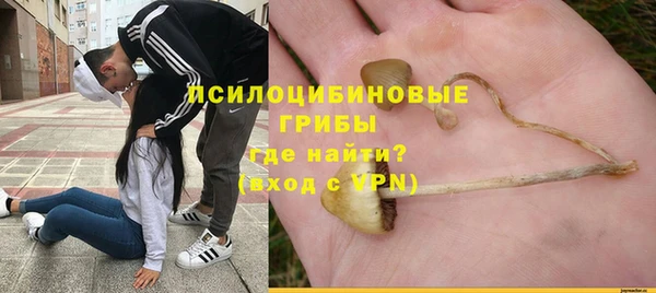 2c-b Белоозёрский