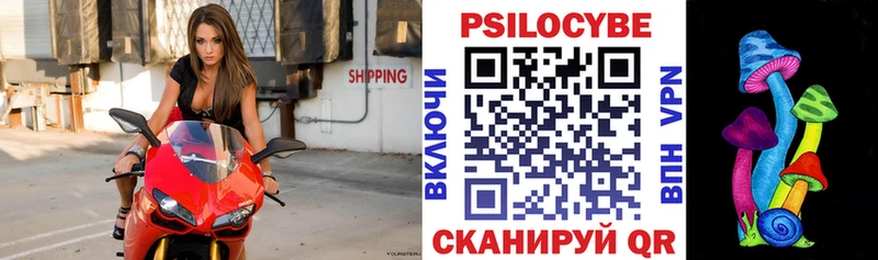 купить закладку  OMG ТОР  Галлюциногенные грибы прущие грибы  Видное 