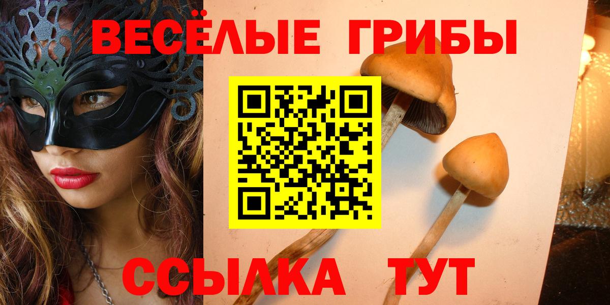 Галлюциногенные грибы Magic Shrooms  Вход с VPN  Видное 