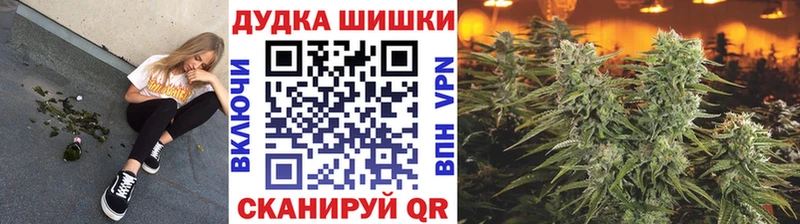 Конопля сатива  ссылка на мегу сайт  Видное  где продают  