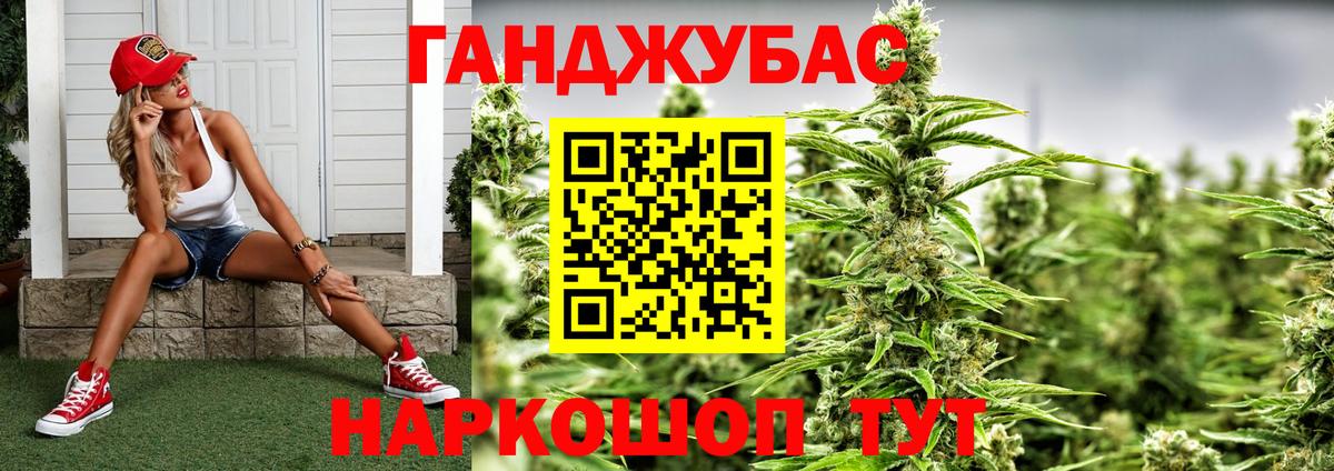 Марихуана сатива Видное
